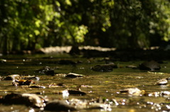 PICT0358