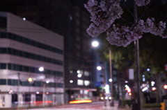 DSC00471