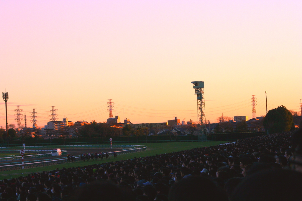 夕暮れの最終レース