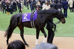 ２０１２有馬記念　エイシンフラッシュ