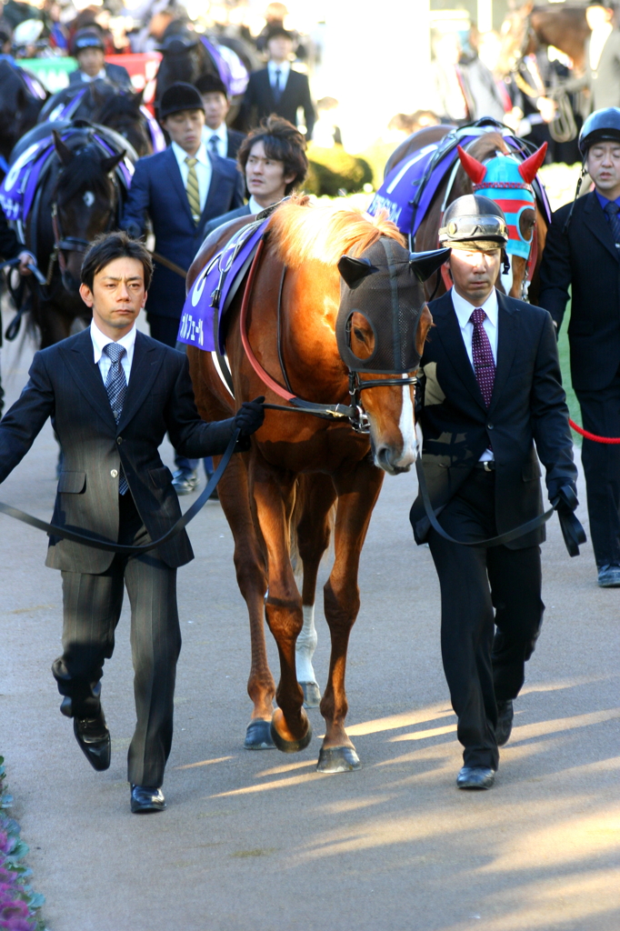 ２０１３　有馬記念　オルフェーヴル