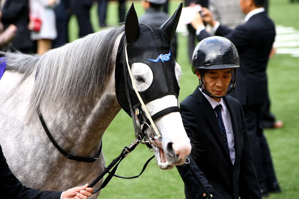 ２０１２有馬　ゴールドシップ