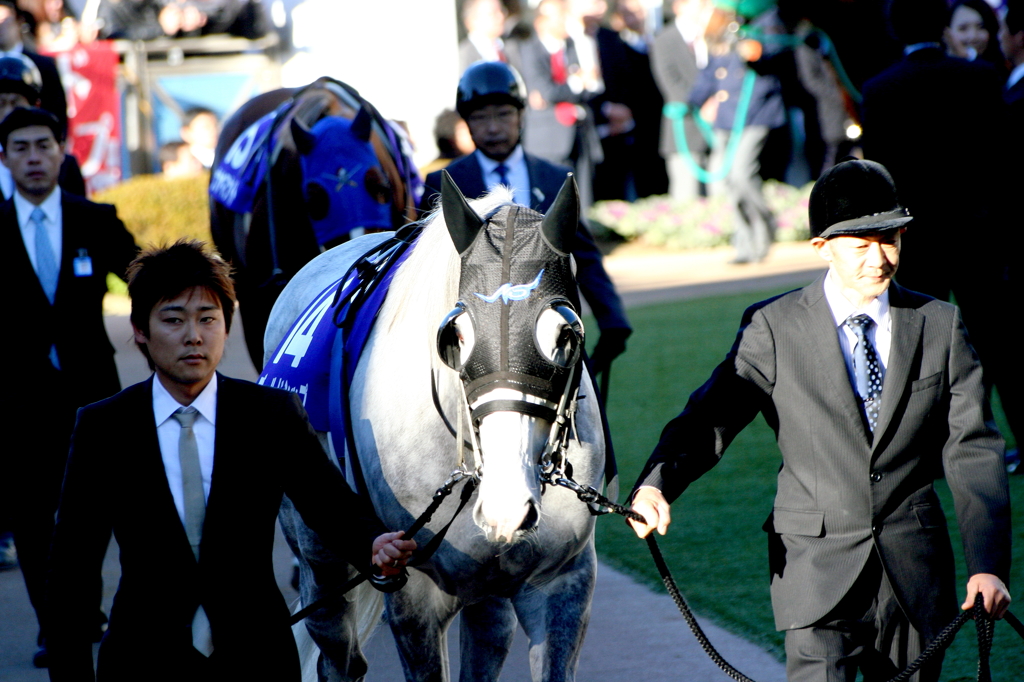 ２０１３　有馬記念　ゴールドシップ