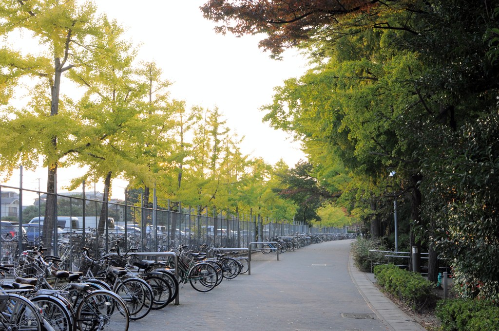 通いなれた風景