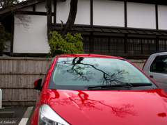 真っ赤な車に映るシルエット