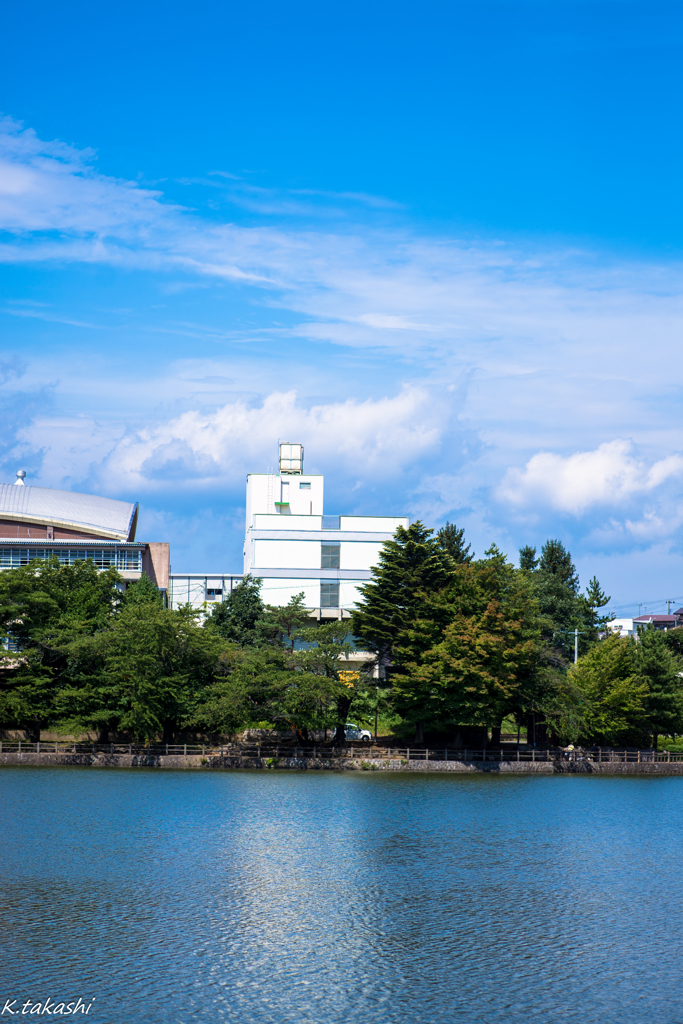 久しぶりの青空