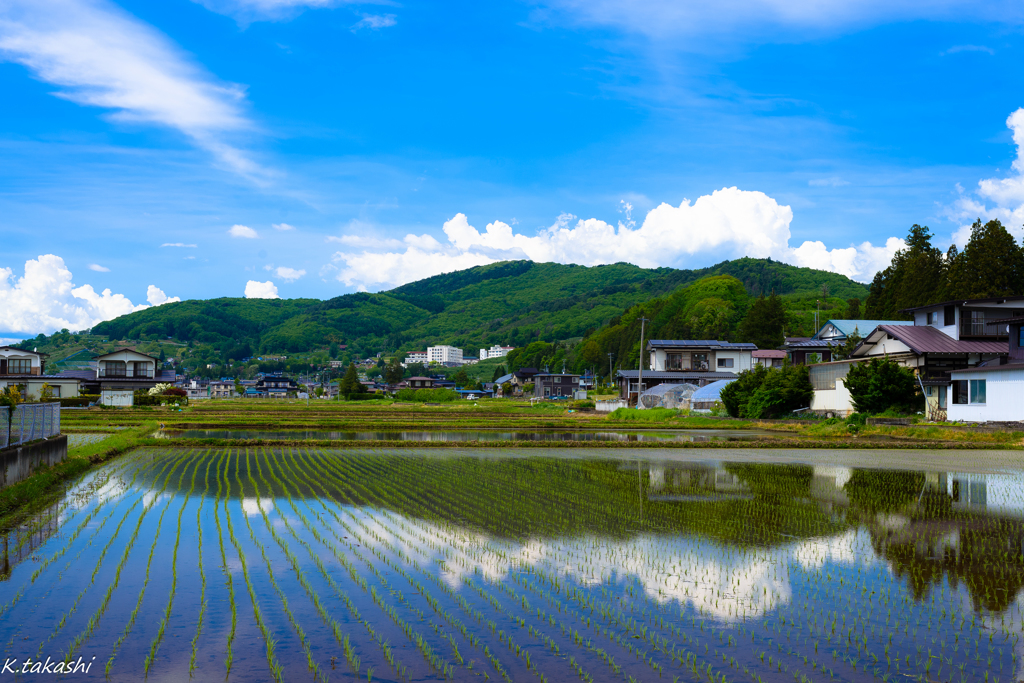 田んぼのある風景