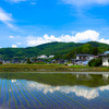 田んぼのある風景