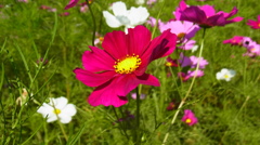 R0010300