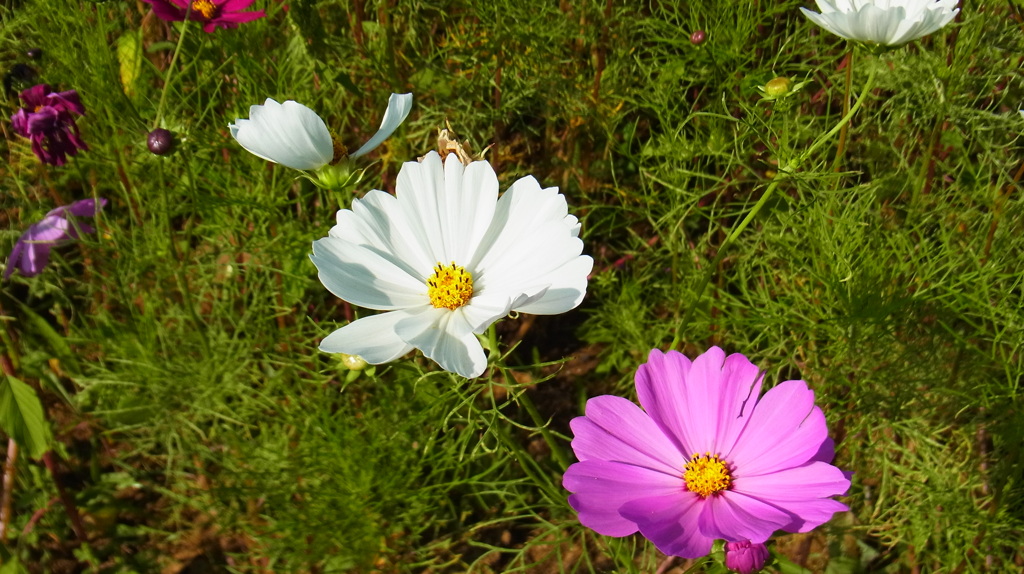 R0010295