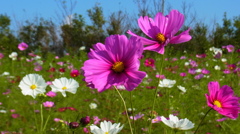 R0010303