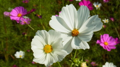 R0010304