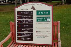 名馬