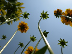 P5210149