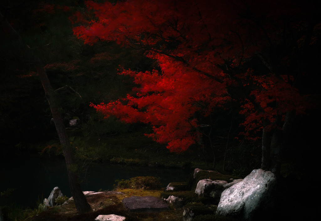 天龍寺・池・紅葉