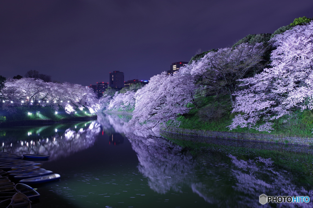 千鳥が淵　IMGP2312