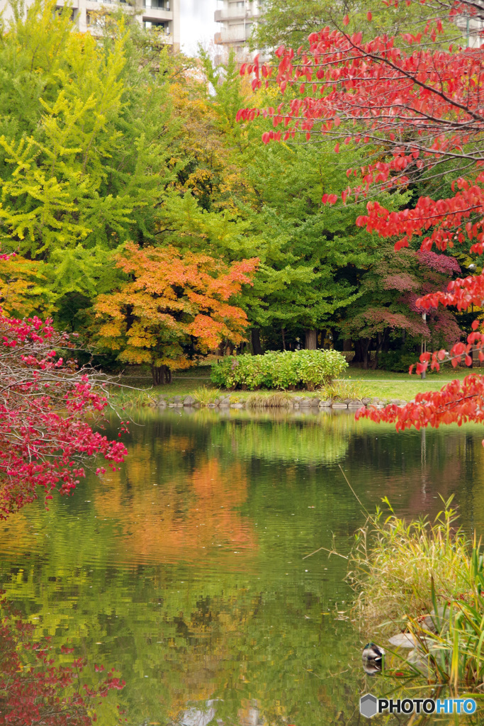 中島公園　IMGP0613