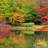 中島公園　IMGP0613