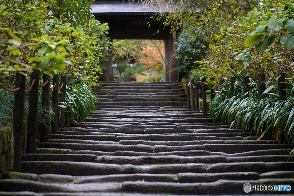 静かな明月院