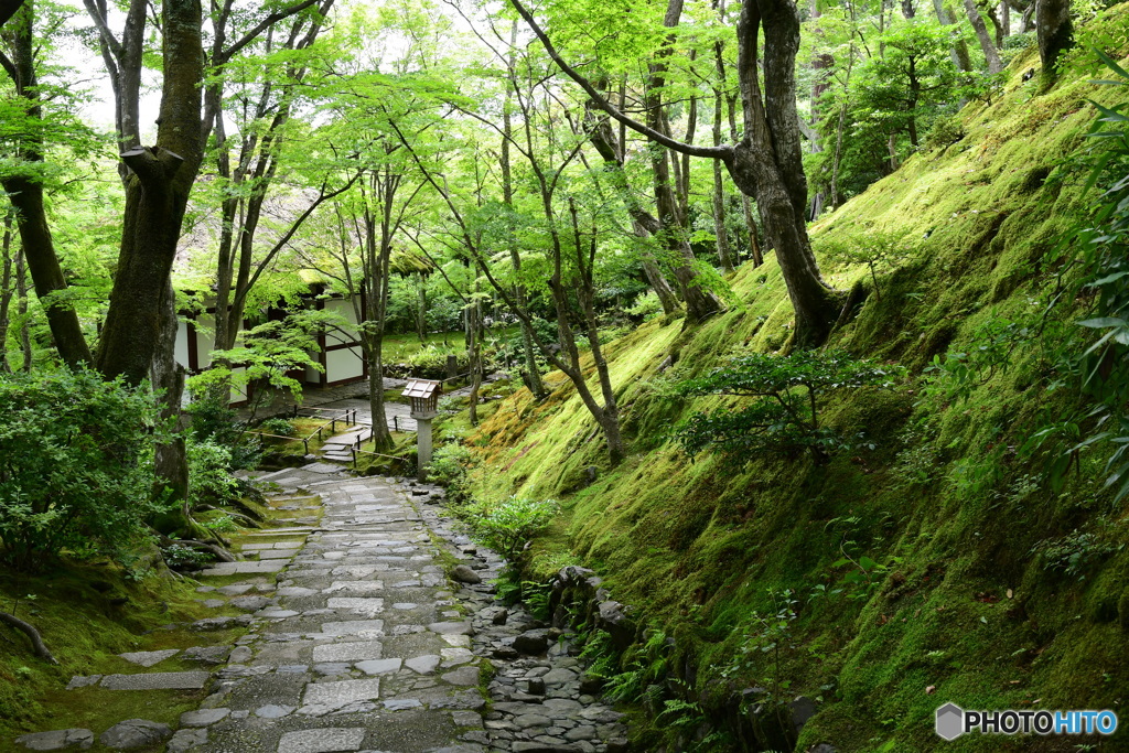 常寂光寺