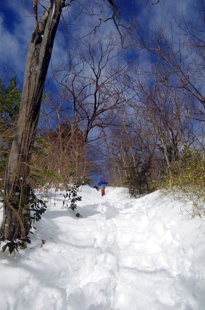 大雪後の高尾山_20140209_054