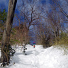 大雪後の高尾山_20140209_054