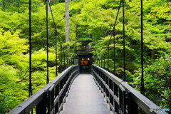 京都高雄 もみぢ橋