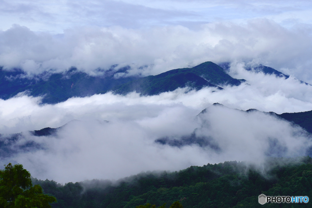 高尾山からの雲海
