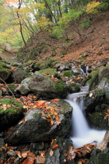 晩秋の秋山_017