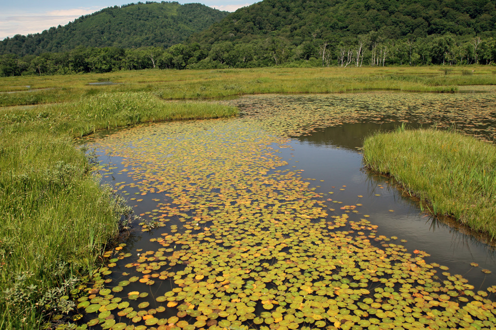 20110824_尾瀬ヶ原_019