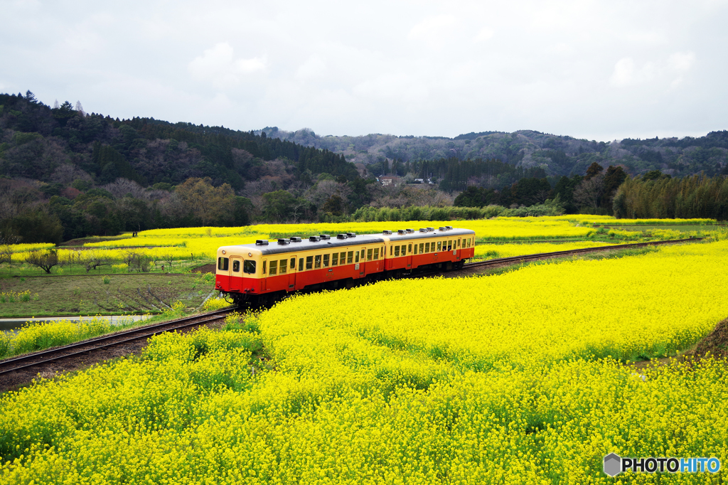 小湊鉄道　IMGP4013