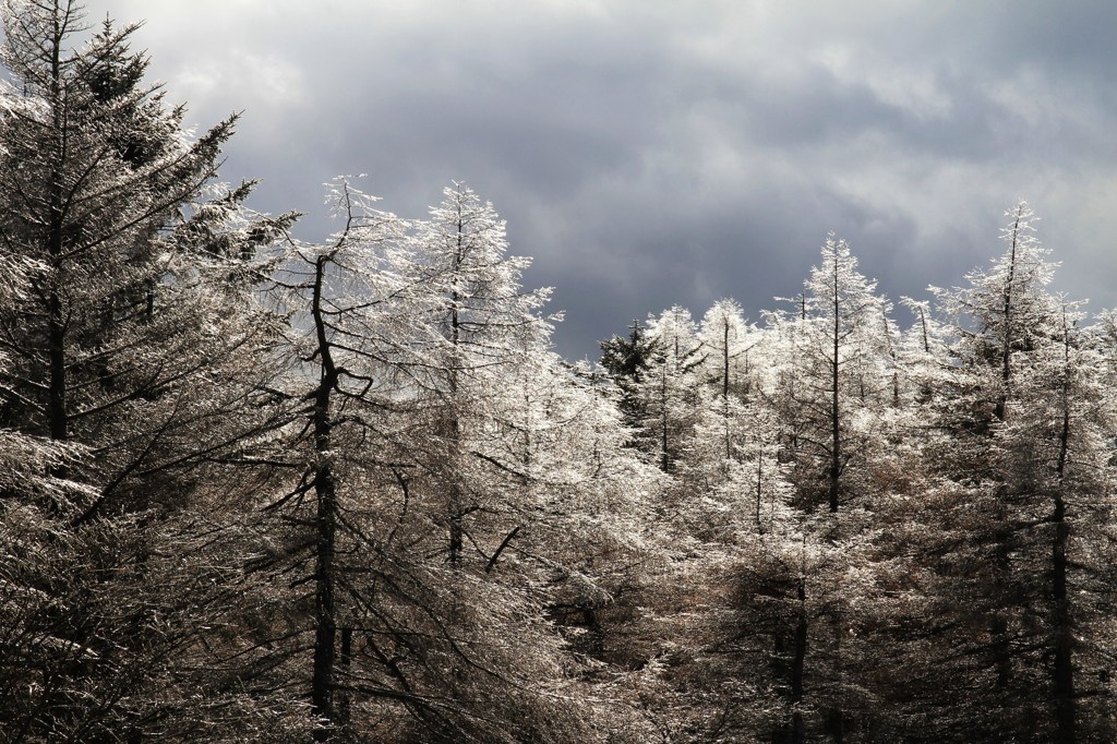 笠取山登山231