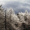 笠取山登山231