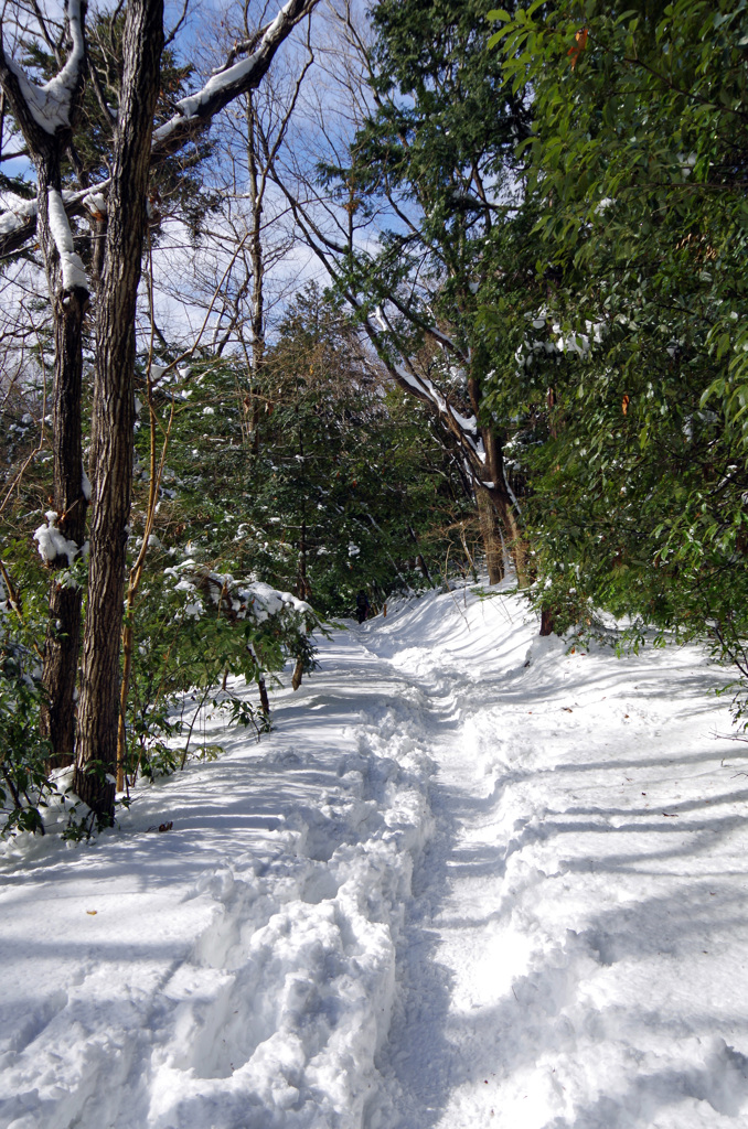 大雪後の高尾山_20140209_033