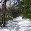 大雪後の高尾山_20140209_033