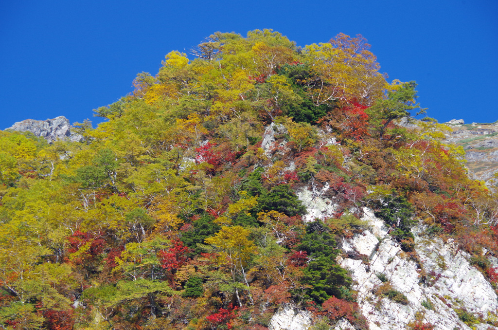 白馬岳_20140927_081