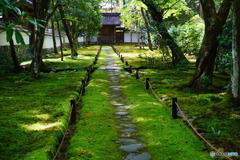 京都:西芳寺総門