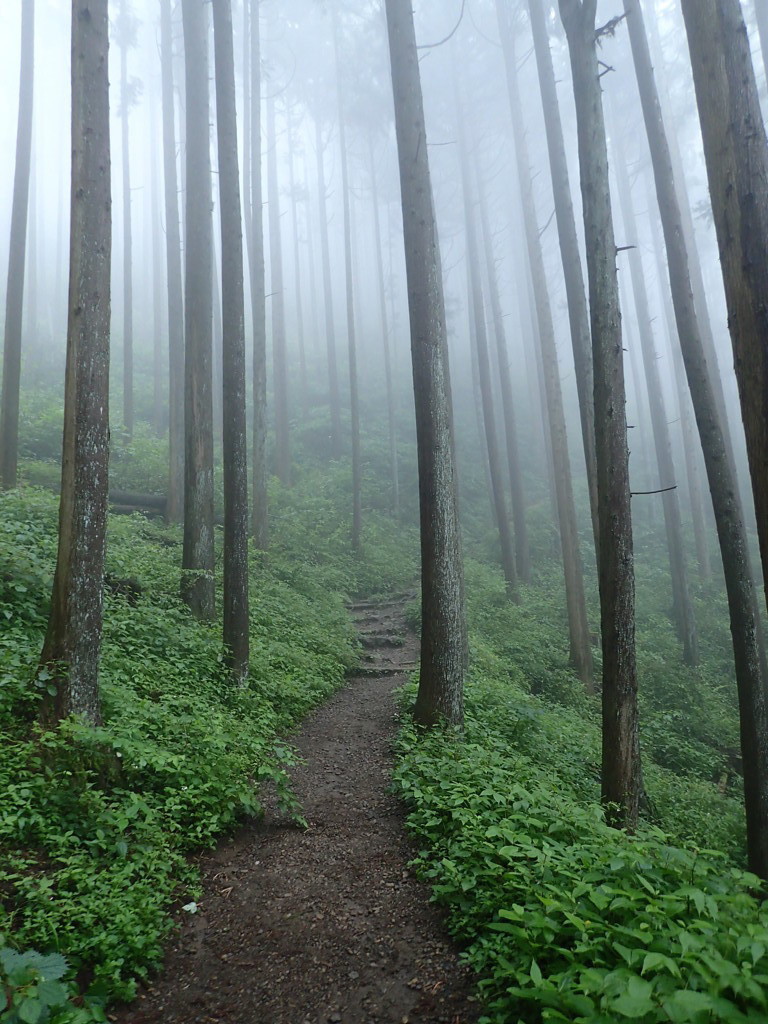 御岳山_20140719_001