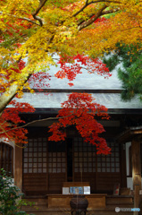 覚園寺　IMGP0773