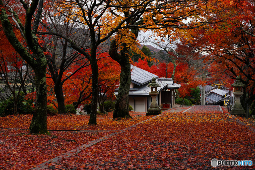 與志漏神社(よしろう) 敷紅葉