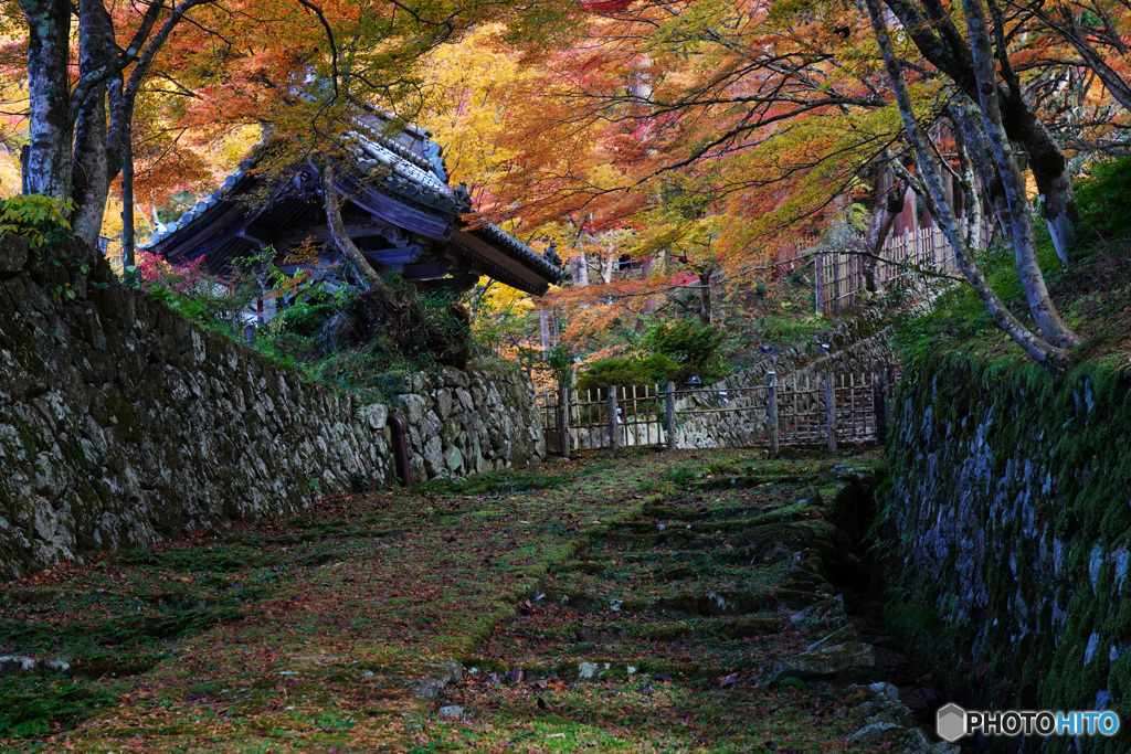 湖東三山 百済寺