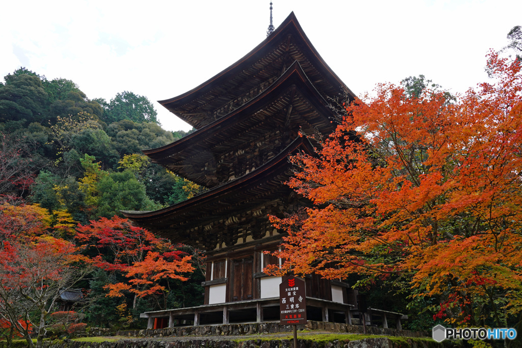 湖東三山 西明寺三重塔
