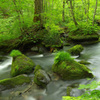 奥入瀬渓流 IMGP3000