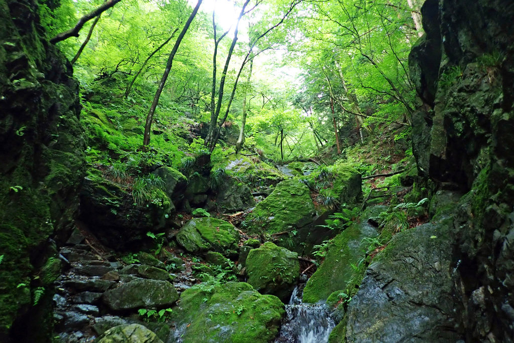 白谷沢 P7080089