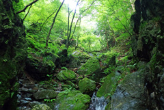白谷沢 P7080089