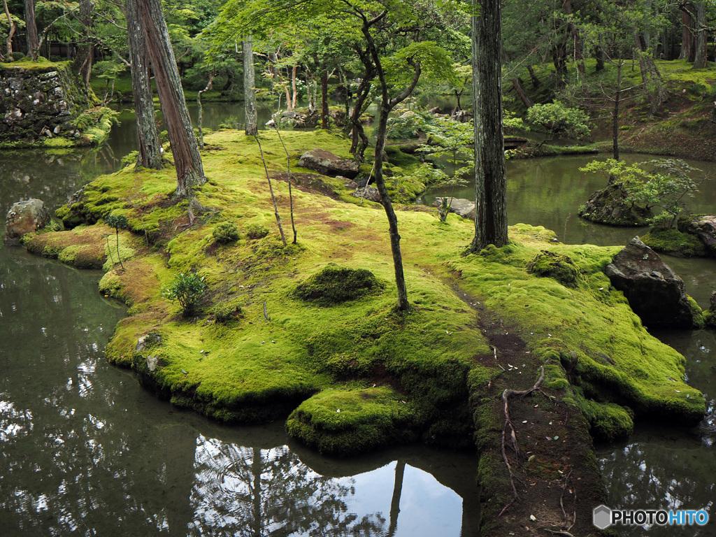 西芳寺