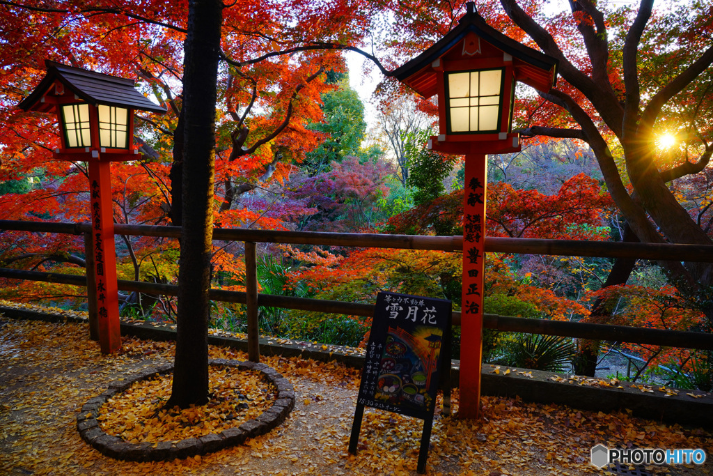 等々力不動尊の紅葉