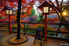 等々力不動尊の紅葉