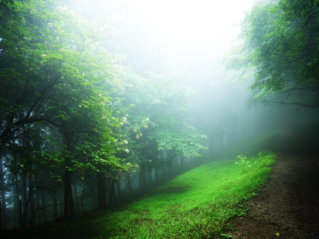 20120815_川苔山登山17