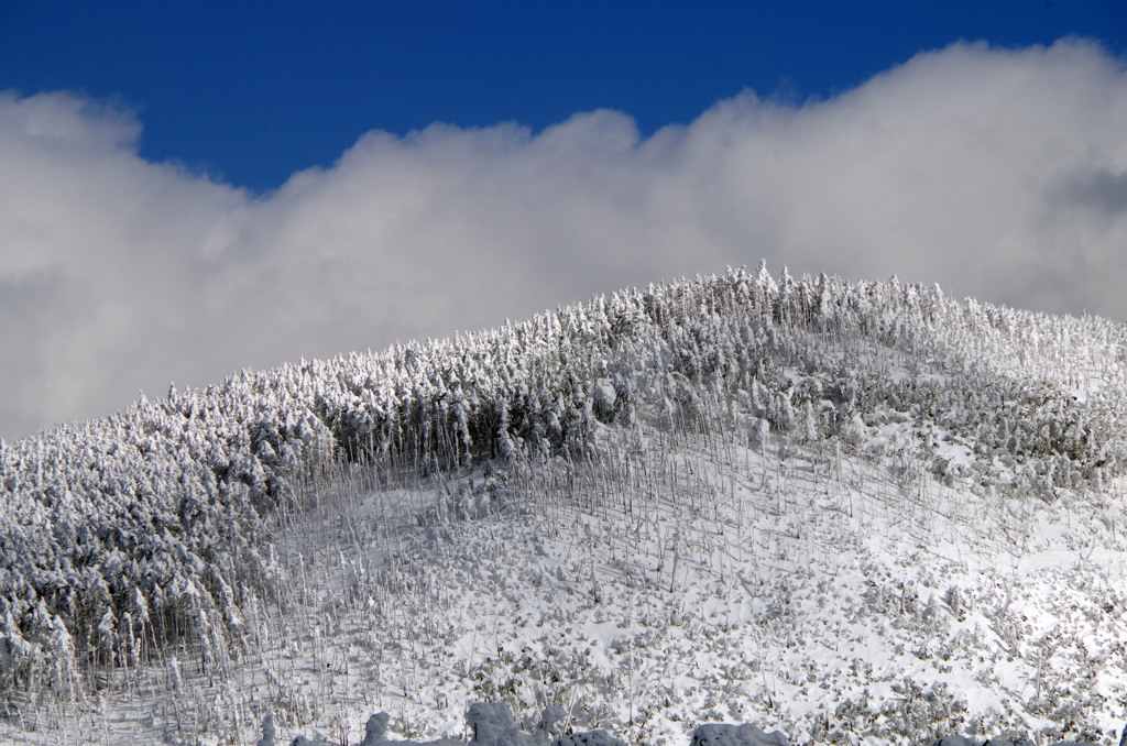 北横岳_20150110_234
